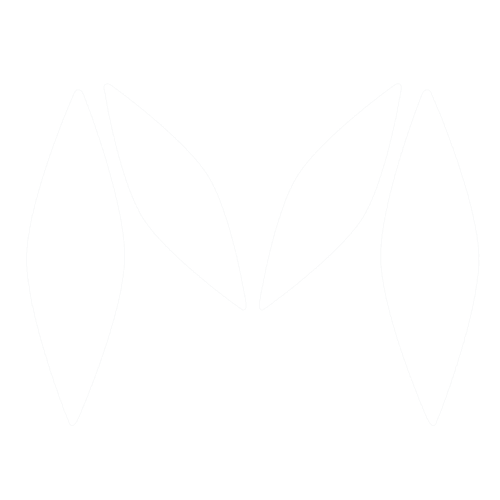Mapki